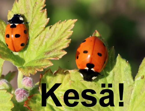Kesä!