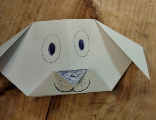 Taittele origamikoira