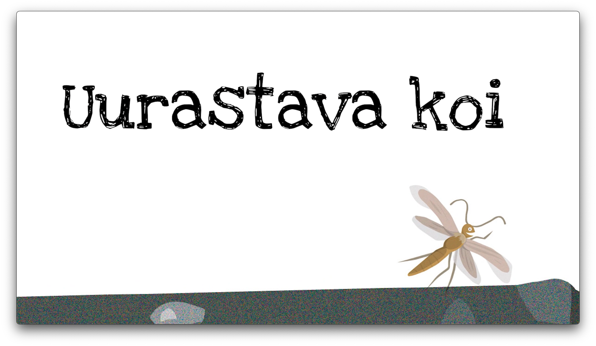 Uurastava koi