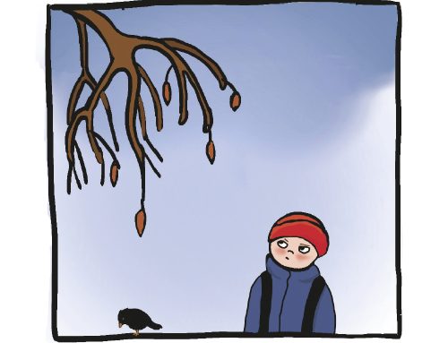 Marraskuun sarjakuva