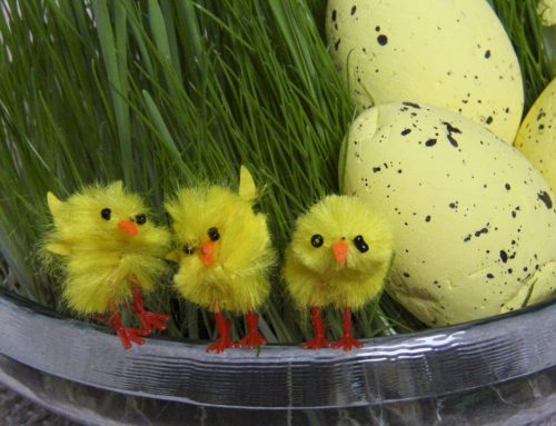 Surin Jeesuksen kuolemaa